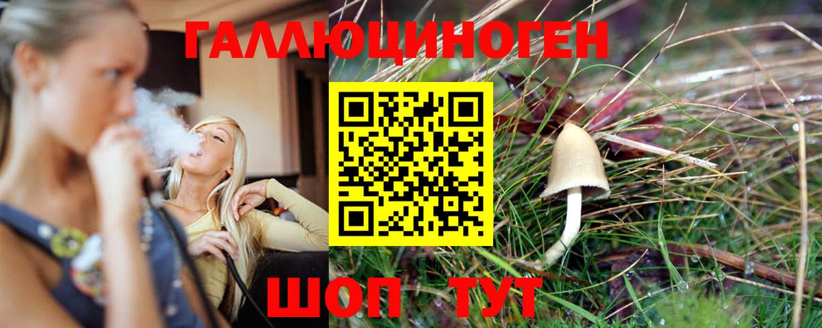 Сланцы  Псилоцибиновые грибы Psilocybe  наркотики  Вход с VPN 